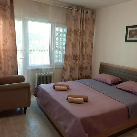 Cosy Flat In The Centre, Near The Bus And Railway Station * Podgorica