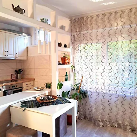 Cosy Flat In The Centre, Near The Bus And Railway Station Apartment Podgorica