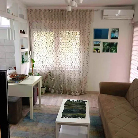 Cosy Flat In The Centre, Near The Bus And Railway Station Apartment *
