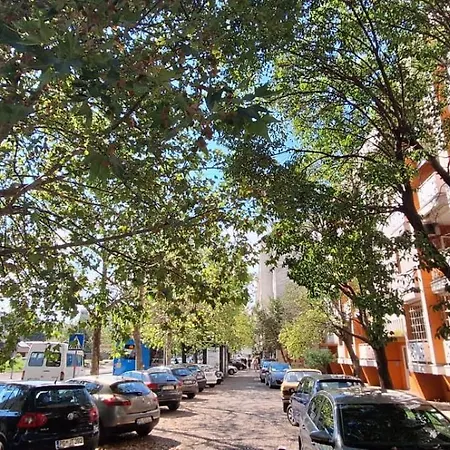 Cosy Flat In The Centre, Near The Bus And Railway Station Apartamento Podgorica